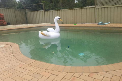 Landy's Holiday House - South Australia Travel 0