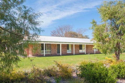 Lens Lair - South Australia Travel 0