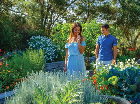 Olio Bello Lakeside Glamping - South Australia Travel 1