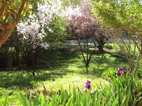 Sofala Cottage - South Australia Travel 0