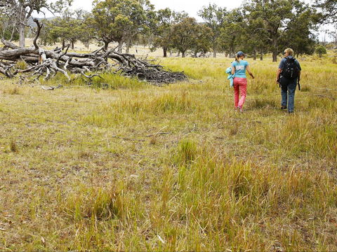 Sundown National Park Camping - South Australia Travel 2