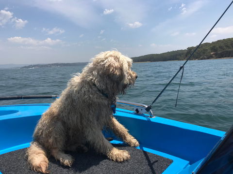 Tommy's Lakehouse - South Australia Travel 2