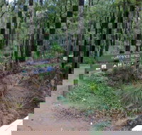 Tonys Bend Campground at Lane Poole Reserve - South Australia Travel