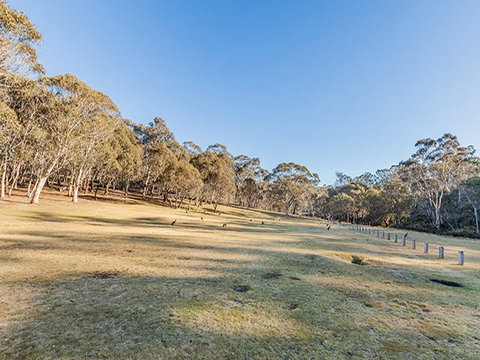 Wares Yards Campground - South Australia Travel 1