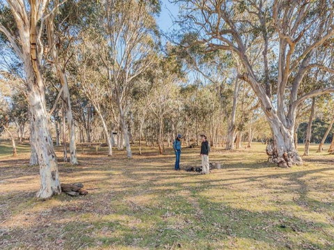 Wares Yards Campground - South Australia Travel 2