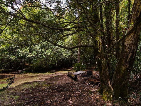 Wombat Creek Campground - South Australia Travel 1