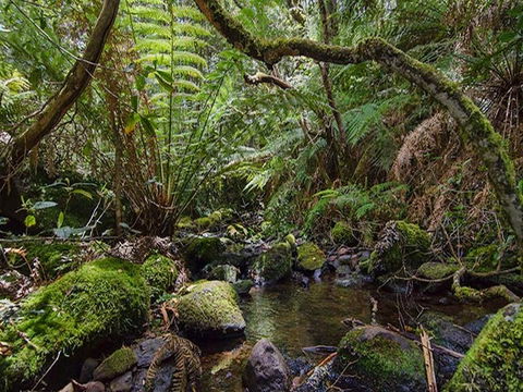 Wombat Creek Campground - South Australia Travel 2