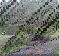 Yarragil Camp at  Lane Poole Reserve - South Australia Travel
