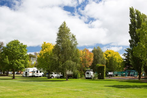 Armidale Tourist Park - South Australia Travel 0