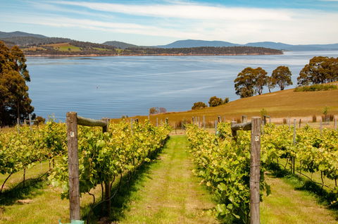 Beaupre Farm - South Australia Travel 0