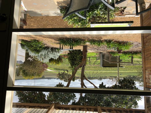 Bed In A Shed Unique Vineyard Accommodation - South Australia Travel 0