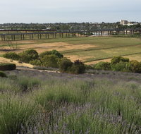 Brayfield Cottage - South Australia Travel
