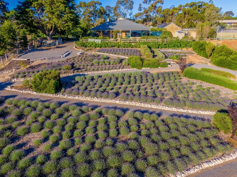 Brayfield Cottage - South Australia Travel 1