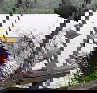 Clyde River Cottage - South Australia Travel