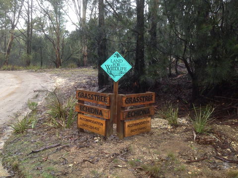 Echidna On Bruny - South Australia Travel 1