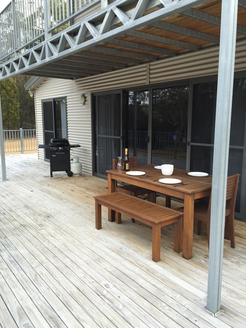 Echidna On Bruny - South Australia Travel 2