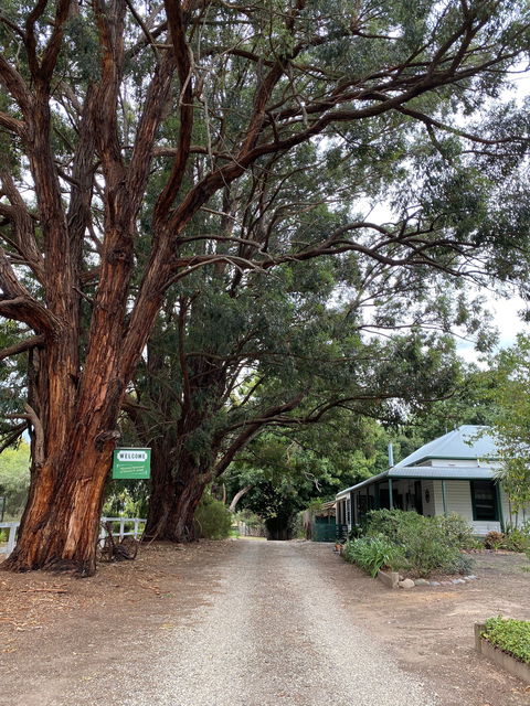 Fernleigh Accommodation - South Australia Travel 0