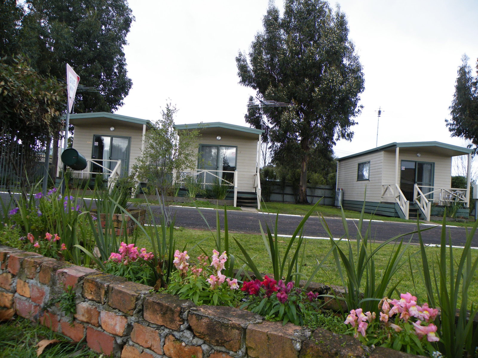 Hamilton VIC South Australia Travel