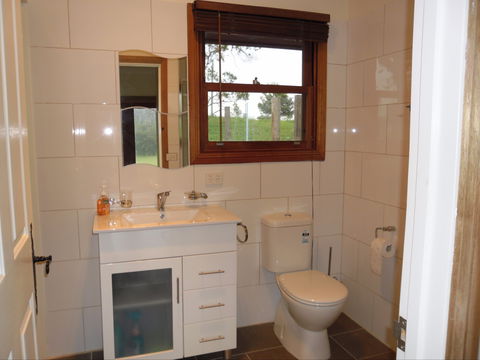 Highland Cattle Farm Stay - South Australia Travel 2