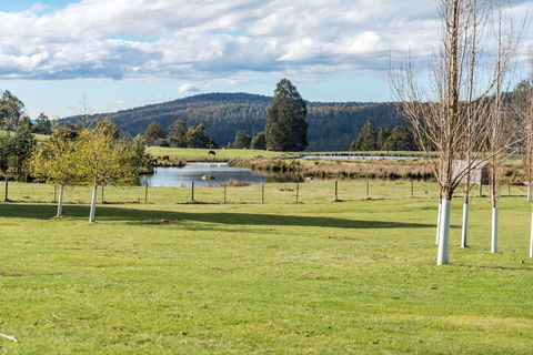Highland Caravan Park - South Australia Travel 1