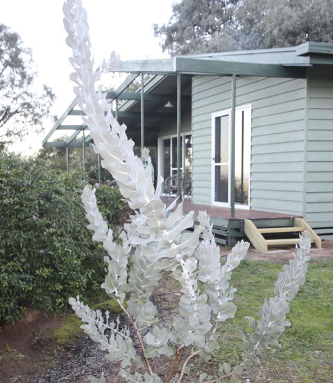 Kurringai Cottage - South Australia Travel 2