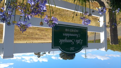 Little Sunnyside Accommodation - South Australia Travel 2