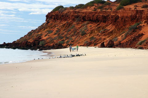 South Gregories Camp At Francois Peron National Park - South Australia Travel 0