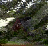 Turkeys Nest Rainforest Cottages Mt Glorious - South Australia Travel