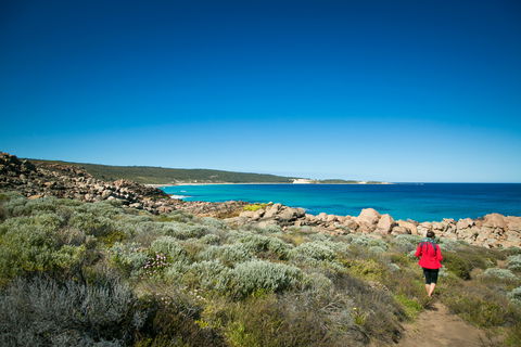 Wyadup Brook Cottages - South Australia Travel 0
