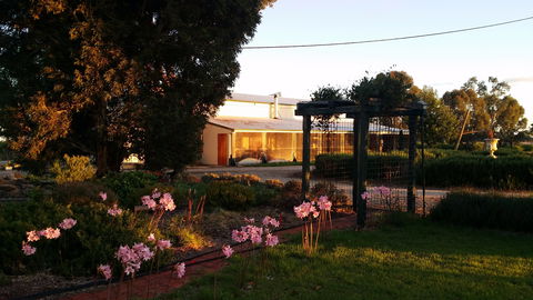 Angas Plains Wines Suites - South Australia Travel 1