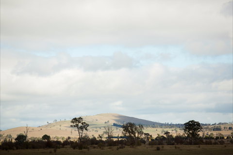 Aurelias Farm Bed And Breakfast - South Australia Travel 1