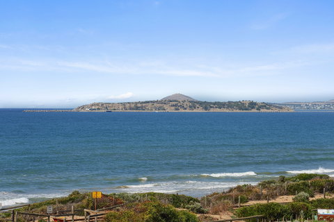 Chiton On The Rocks - Breathtaking Panoramic Coastal Views - South Australia Travel 1