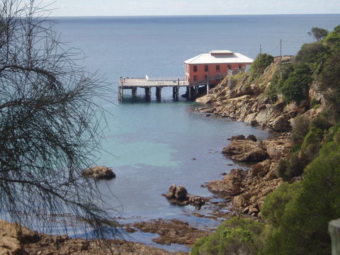 Clifftop At Tathra - South Australia Travel 2