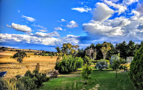 Dairy Park Farm Stay Bed And Breakfast - South Australia Travel 1