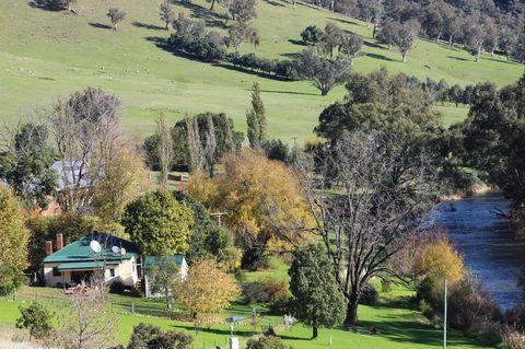 Elm Cottage Tumut - South Australia Travel 1