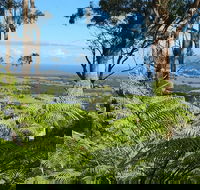 Escarpment - South Australia Travel
