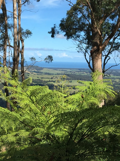 Escarpment - South Australia Travel 0