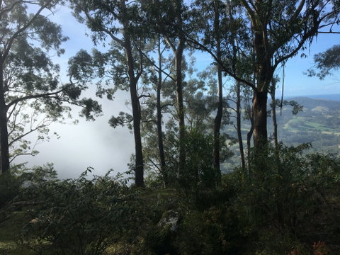 Escarpment - South Australia Travel 2