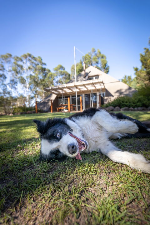 Grampians Getaway - South Australia Travel 0