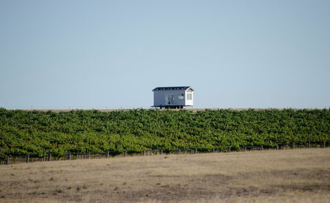 Hounds Run Vineyard - South Australia Travel 0