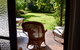 Moble Homestead - thumb 2