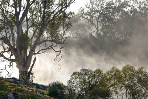 River Boat Road Cadell -River Shack Rentals - South Australia Travel 1