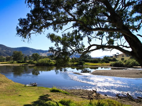 Talmalmo Cottage - South Australia Travel 1