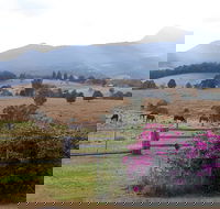 The Barn  House Farm Stay at Possum Manor - South Australia Travel