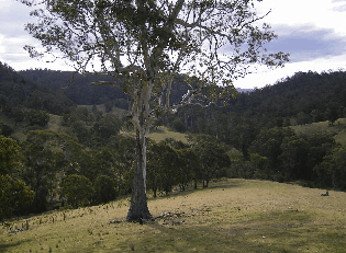 Yasuragi Cabins - South Australia Travel 1