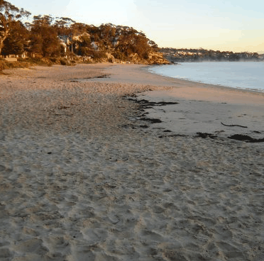 Beachhaven Bed & Breakfast - South Australia Travel 5