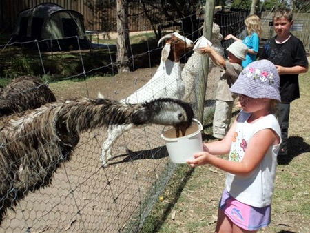 Bairnsdale Holiday Park - South Australia Travel 2