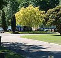 Mitchell Gardens Holiday Park - South Australia Travel