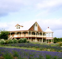 Serendipity Lavender Farm - South Australia Travel