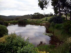Carolins Organic Farm - South Australia Travel 1